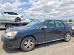 CHEVROLET MALIBU 2005