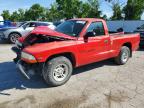DODGE DAKOTA 2000