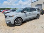 KIA CARNIVAL 2024