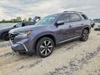 HONDA PILOT 2025