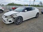SCION TC 2012