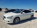 NISSAN MAXIMA 2009