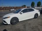 TOYOTA CAMRY 2023