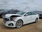 HYUNDAI SONATA 2019