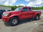 TOYOTA TACOMA 2010