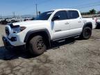 TOYOTA TACOMA 2023