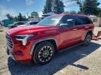 TOYOTA SEQUOIA 2023