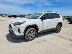 TOYOTA RAV4 2025