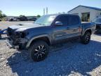 TOYOTA TACOMA 2023