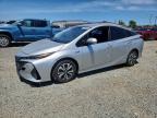 TOYOTA PRIUS PRIME 2019