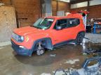 JEEP RENEGADE 2017