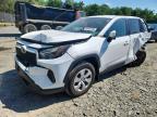 TOYOTA RAV4 2023