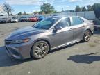 TOYOTA CAMRY 2023