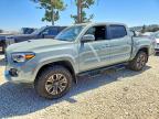 TOYOTA TACOMA 2023