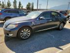 LEXUS LS 2010