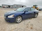 NISSAN MAXIMA 2013