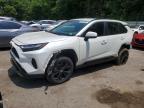TOYOTA RAV4 2022