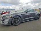 FORD MUSTANG 2019