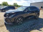 LEXUS NX 2020