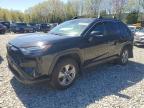 TOYOTA RAV4 2023