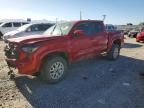 TOYOTA TACOMA 2024