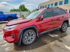 TOYOTA RAV4 2024