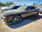 DODGE CHALLENGER 2023