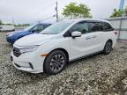 HONDA ODYSSEY 2022