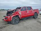 TOYOTA TACOMA 2023