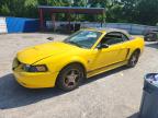 FORD MUSTANG 2004