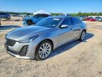 CADILLAC CT5 2024