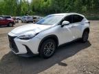 LEXUS NX 2023