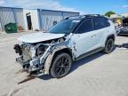TOYOTA RAV4 2023