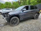 TOYOTA RAV4 2024