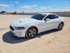 FORD MUSTANG 2022