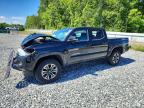 TOYOTA TACOMA 2023