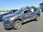 TOYOTA RAV4 2025