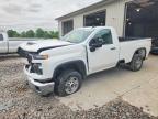 CHEVROLET SILVERADO 2024
