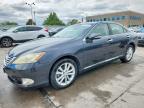 LEXUS ES 2010