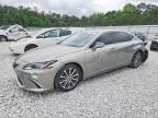 LEXUS ES 2019
