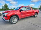 CHEVROLET SILVERADO 2023