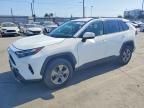 TOYOTA RAV4 2023