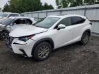LEXUS NX 2019