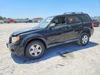 FORD ESCAPE 2009