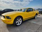 FORD MUSTANG 2005