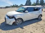 KIA SOUL 2024