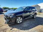 TOYOTA RAV4 2024