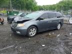HONDA ODYSSEY 2013