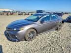 TOYOTA CAMRY 2023
