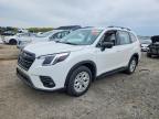 SUBARU FORESTER 2022